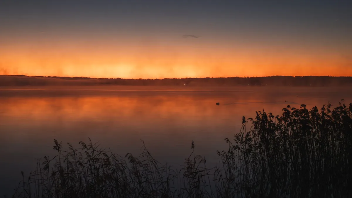 A beautiful sunset over a calm lake with silhouetted reeds and a colorful sky.