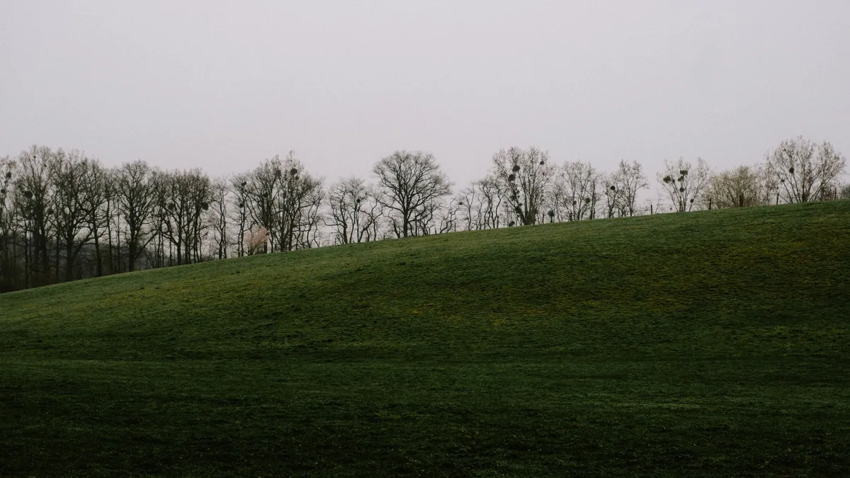 A serene view of green hills with bare trees under an overcast sky, capturing nature's calm in the outdoors.