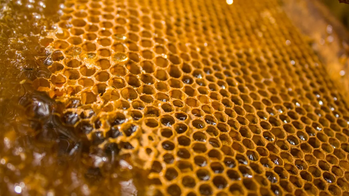 Detailed close-up of a honeycomb filled with honey, showcasing the intricate hexagonal pattern.